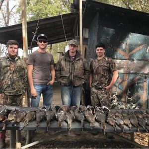 Meet your Posher, Logan